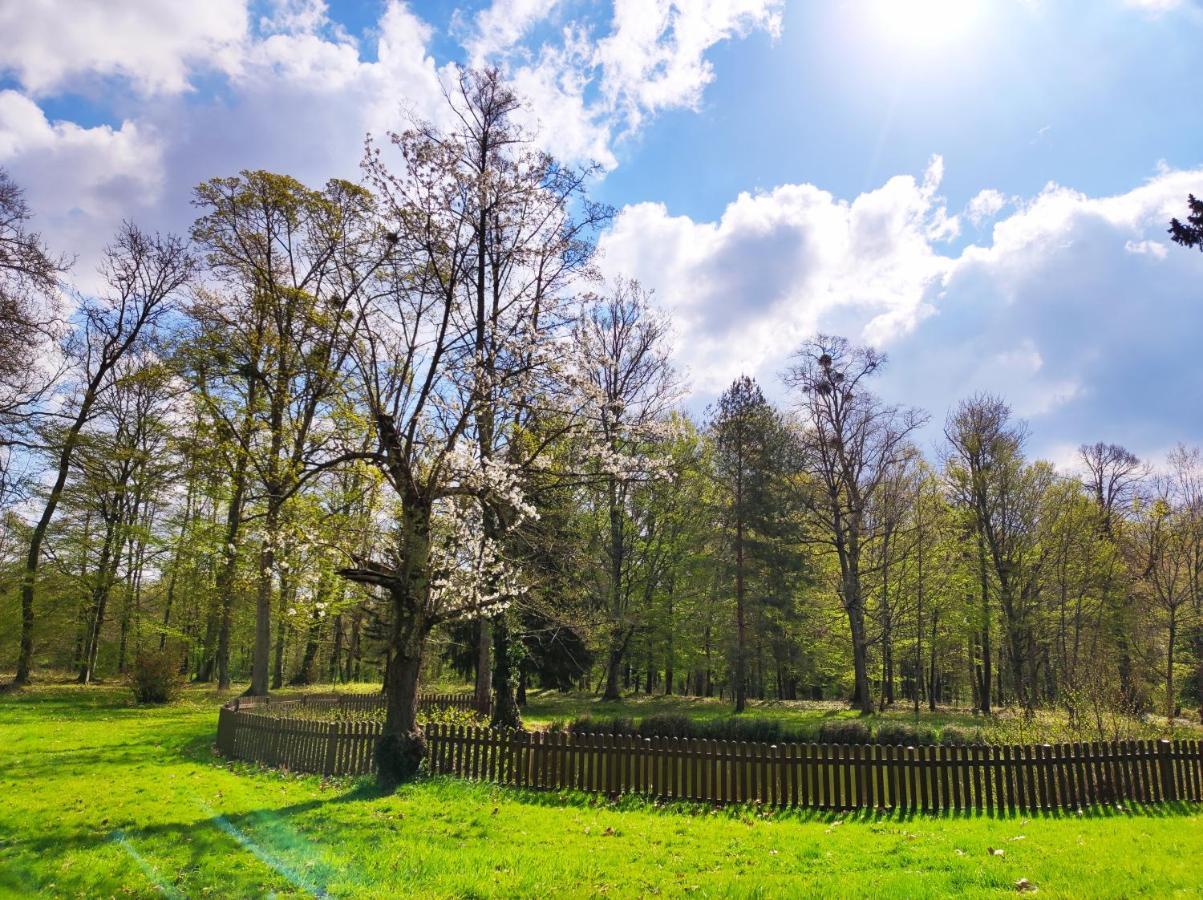 Chambres D'Hotes Du Domaine De L'Isle Civray-de-Touraine ภายนอก รูปภาพ